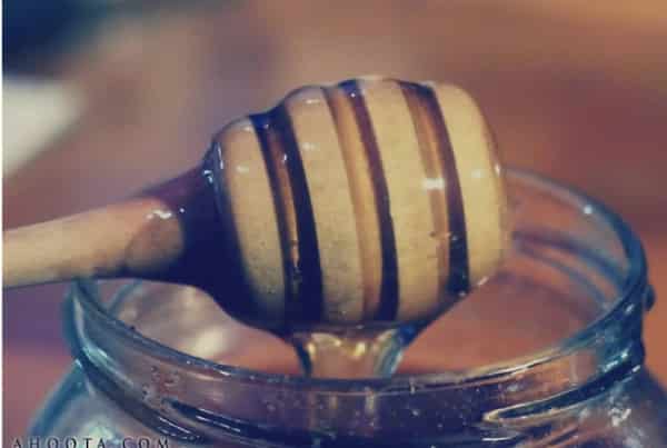 تصویر 4 از خرید عسل شبدر + قیمت و فروش استثنایی